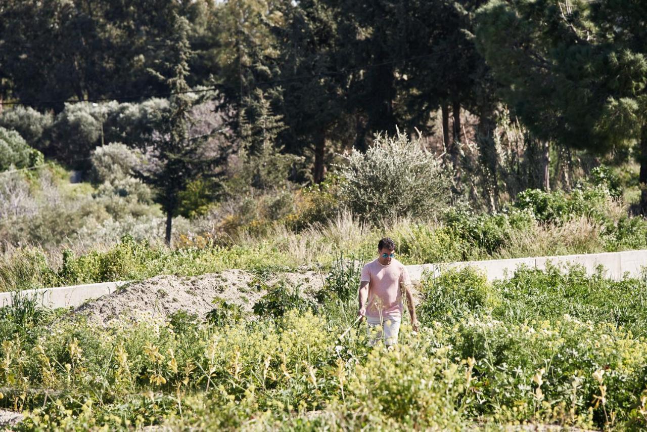 Anar Villas Rhodes Koskinou  Buitenkant foto